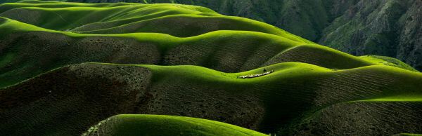 How to Be Kind To Your Mind