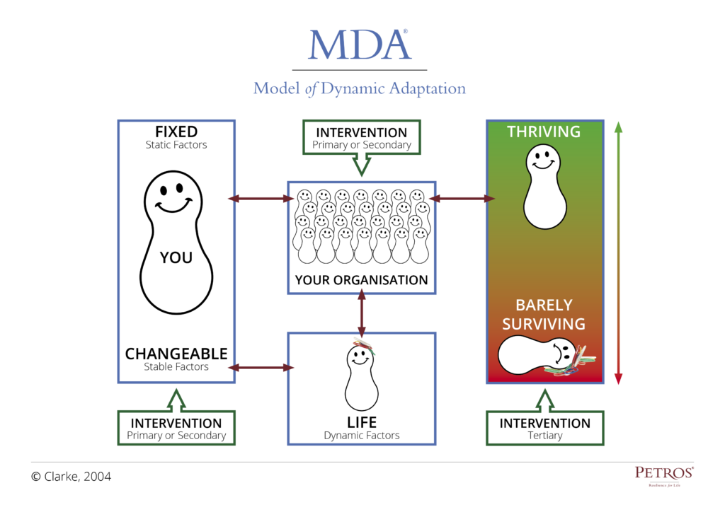 Model of Dynamic Adaption